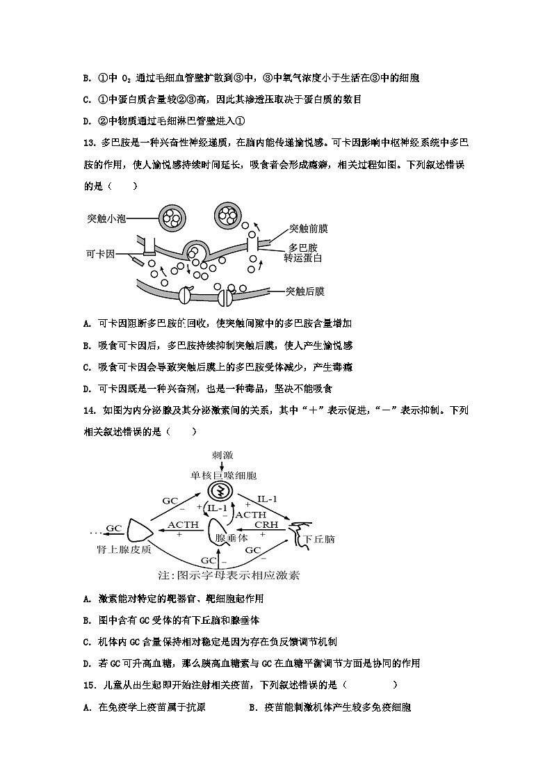 广东省惠州市惠阳区丰湖高级中学2024-2025学年高二上学期期中考试生物试题第3页