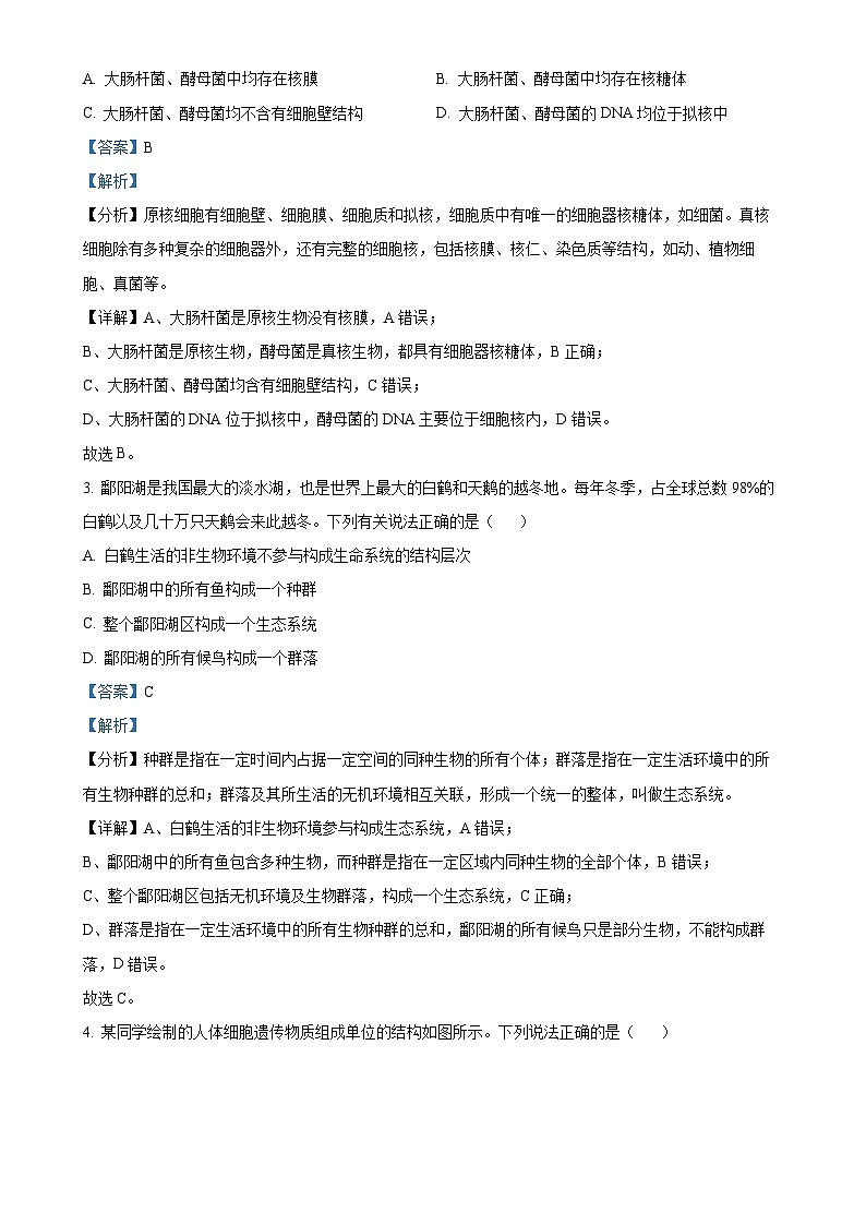 广东省名校联盟2024-2025学年高一上学期期中联考生物试题(解析版)-A4第2页