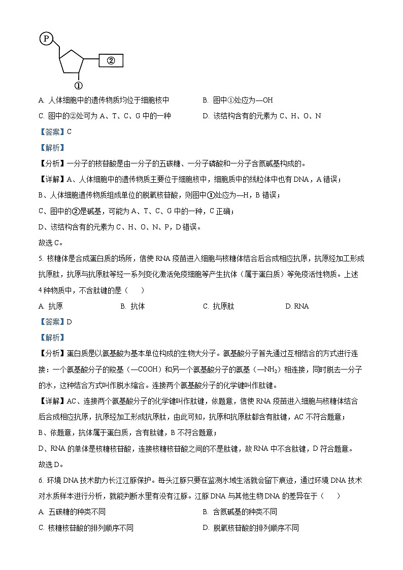 广东省名校联盟2024-2025学年高一上学期期中联考生物试题(解析版)-A4第3页