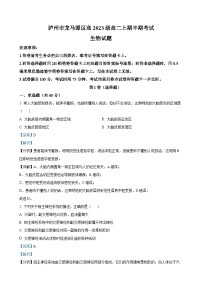 四川省泸州市龙马潭区2024-2025学年高二上学期11月期中生物试题（解析版）-A4