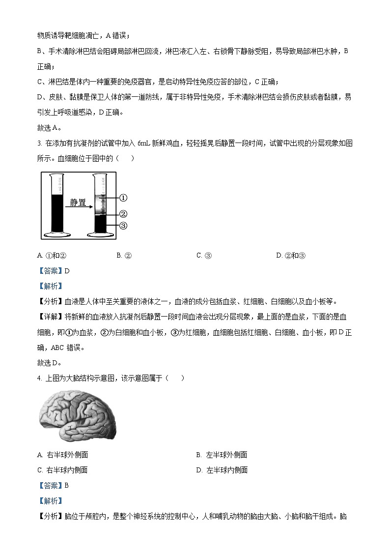 浙江省强基联盟2024-2025学年高二上学期11月联考生物试题(解析版)-A4第2页