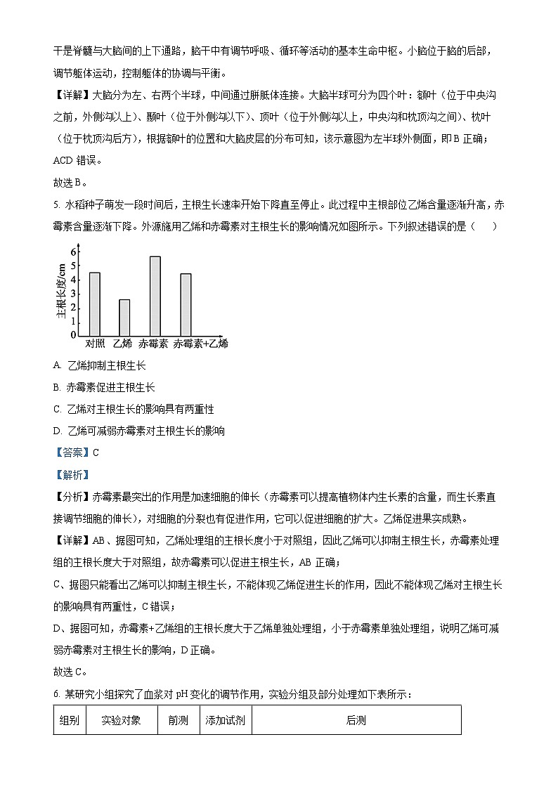 浙江省强基联盟2024-2025学年高二上学期11月联考生物试题(解析版)-A4第3页
