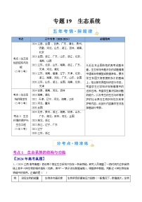 五年高考真题（2020-2024）分类汇编 生物 专题19 生态系统  含解析