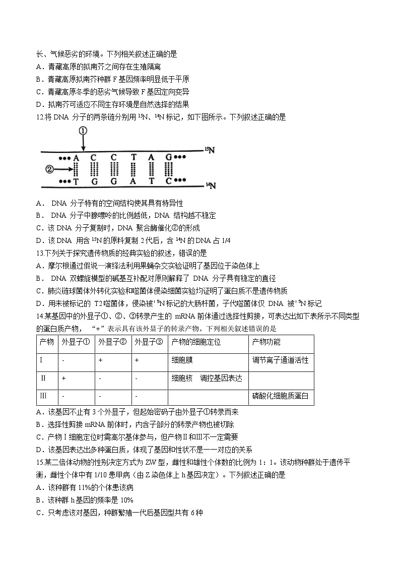 安徽毛坦厂实验中学2025届高三上学期11月期中考试生物试题+答案第3页