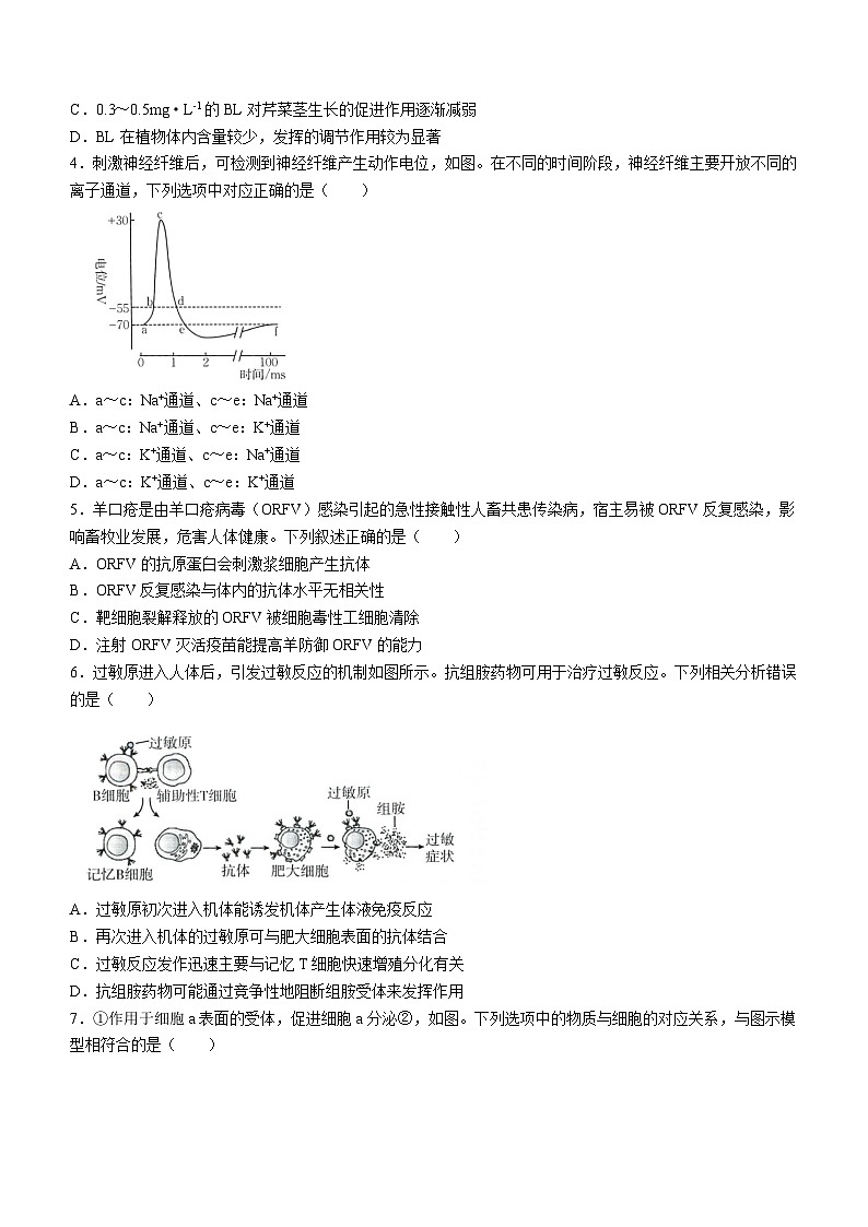 广东省部分名校2024-2025学年高二上学期期中考试生物试题第2页