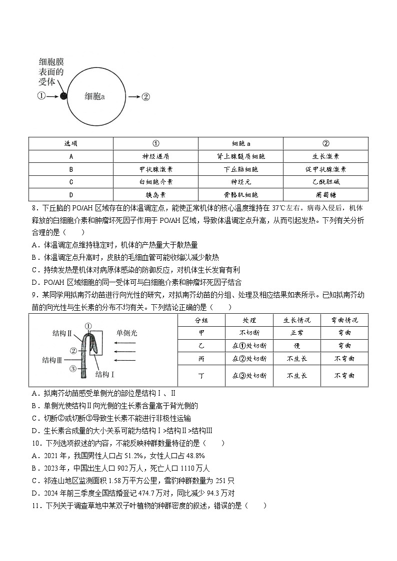 广东省部分名校2024-2025学年高二上学期期中考试生物试题第3页