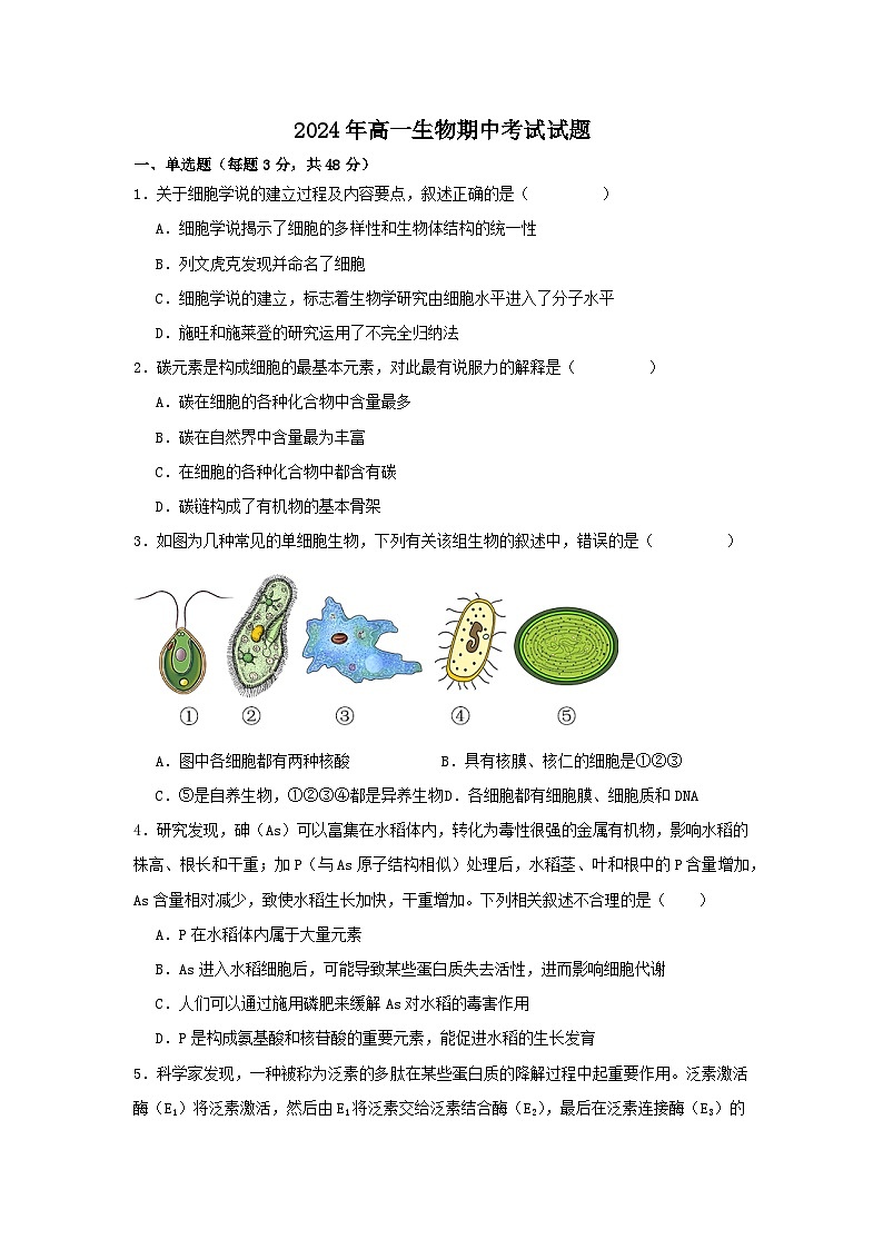 湖南省岳阳市汨罗市汨罗市第一中学2024-2025学年高一上学期11月期中生物试题第1页