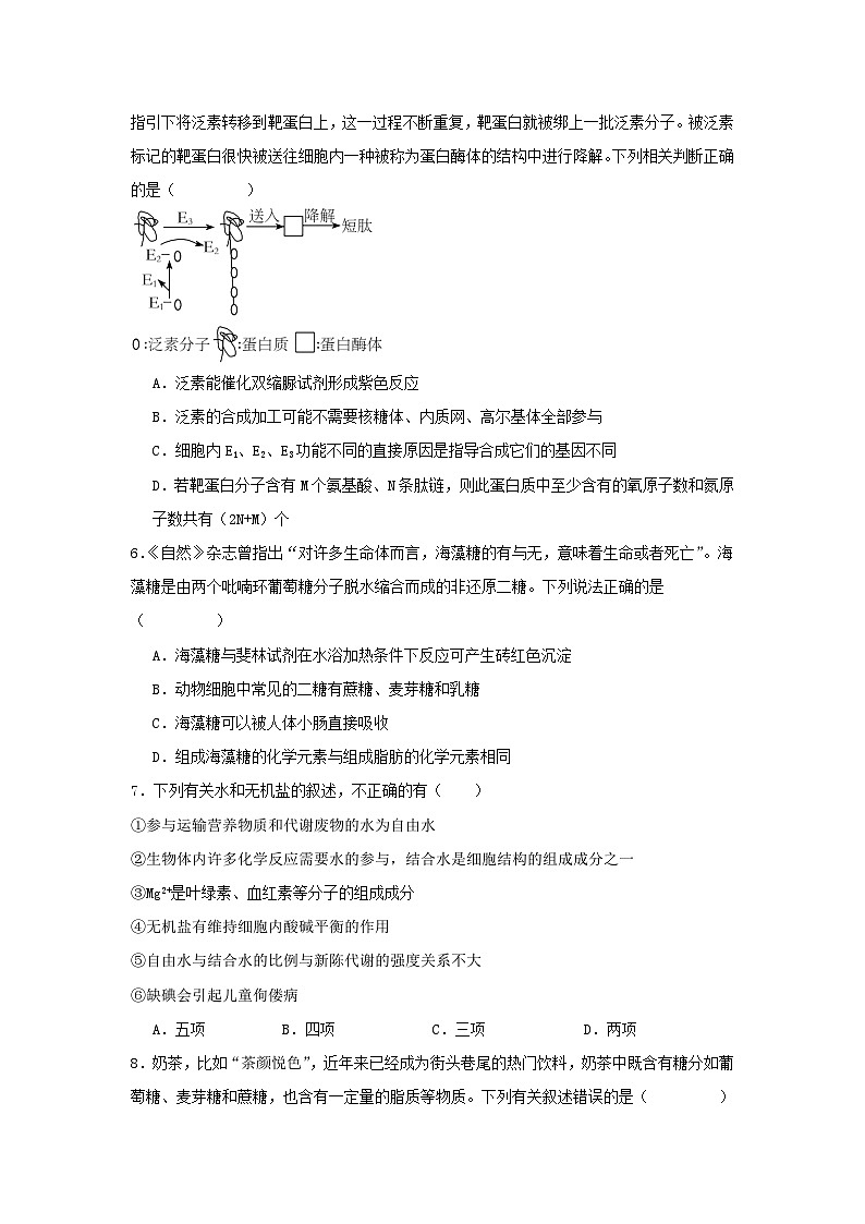 湖南省岳阳市汨罗市汨罗市第一中学2024-2025学年高一上学期11月期中生物试题第2页