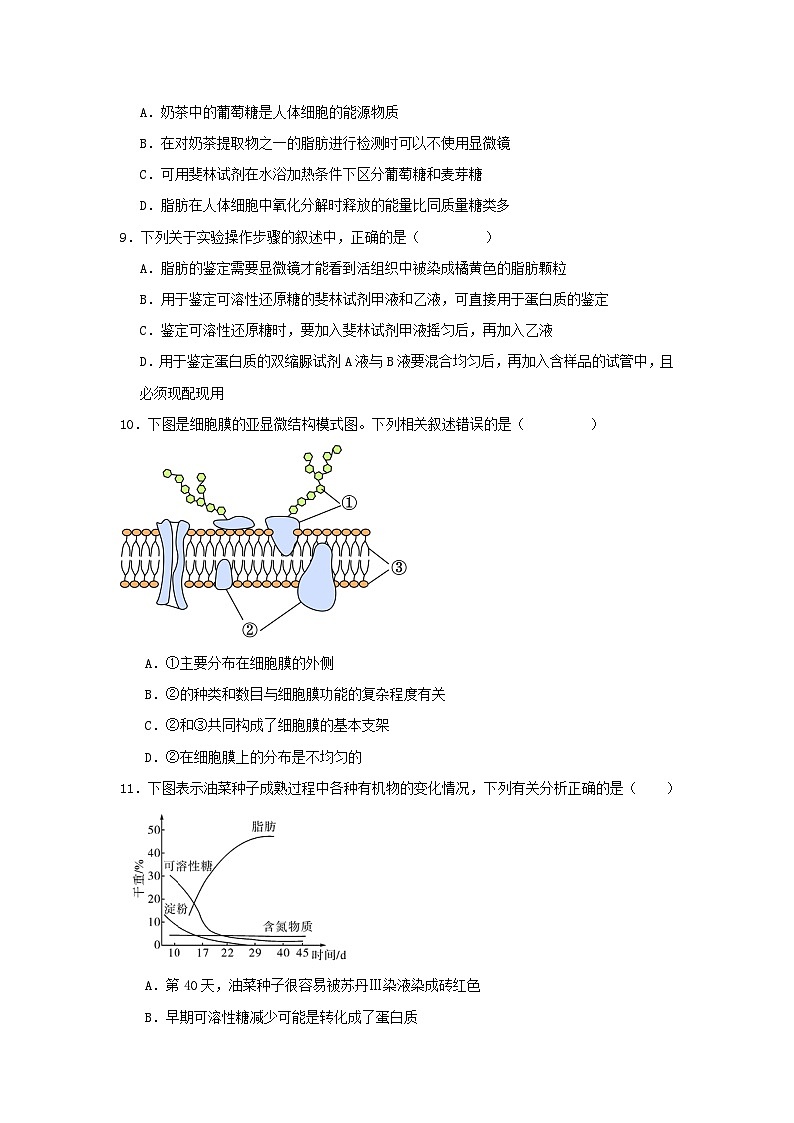 湖南省岳阳市汨罗市汨罗市第一中学2024-2025学年高一上学期11月期中生物试题第3页
