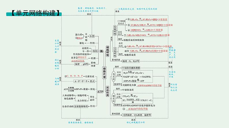 2025届生物高考 二轮复习 细胞的生存需要能量和营养物质 主干知识 自主落实 课件第2页