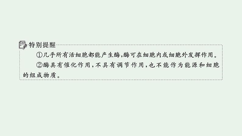 2025届生物高考 二轮复习 细胞的生存需要能量和营养物质 主干知识 自主落实 课件第5页