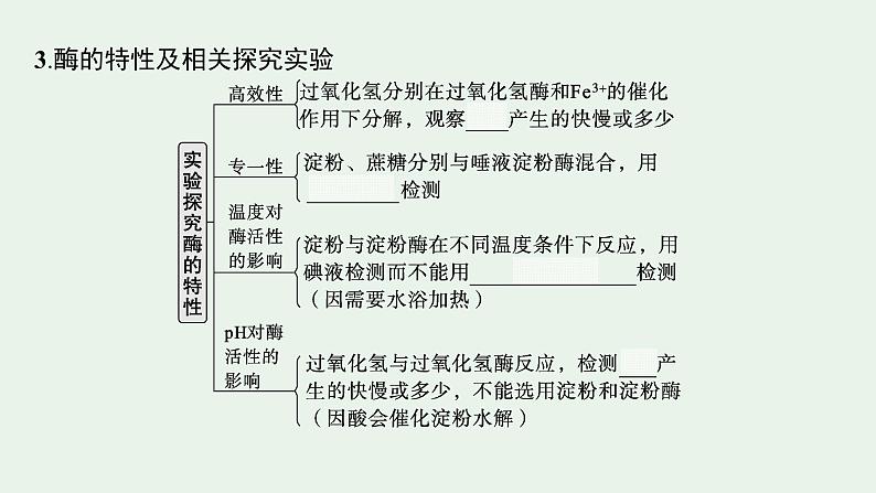 2025届生物高考 二轮复习 细胞的生存需要能量和营养物质 主干知识 自主落实 课件第7页