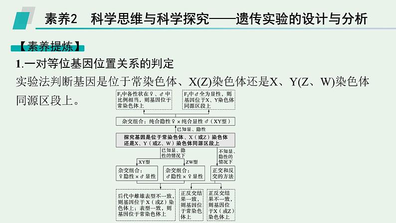2025届生物高考 二轮复习 遗传信息控制生物性状的遗传规律 素养整合_诠释应用 课件第8页