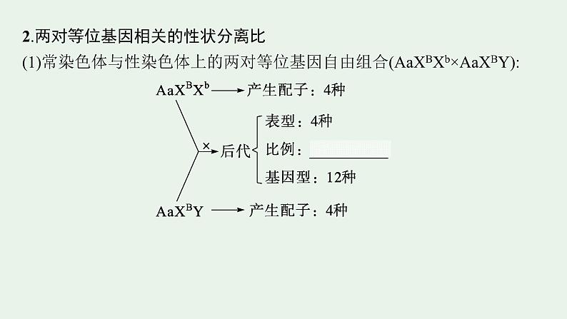 2025届生物高考 二轮复习 遗传信息控制生物性状的遗传规律 主干知识 自主落实 课件第5页