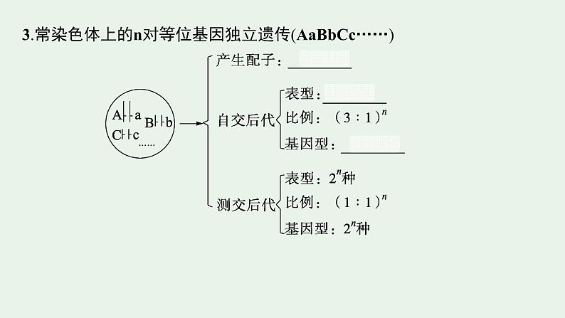 2025届生物高考 二轮复习 遗传信息控制生物性状的遗传规律 主干知识 自主落实 课件第7页