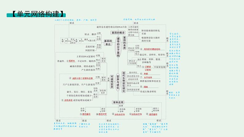 2025届生物高考 二轮复习 遗传的分子基础、变异与进化主干知识 自主落实 课件第2页