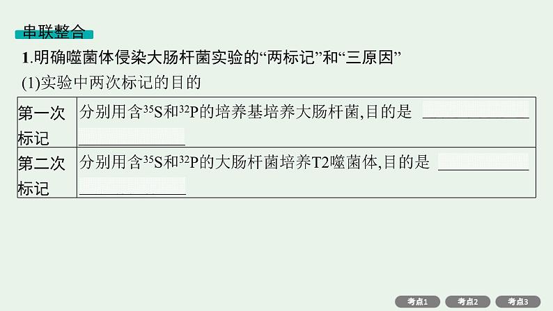 2025届生物高考 二轮复习 遗传的分子基础、变异与进化主干知识 自主落实 课件第4页