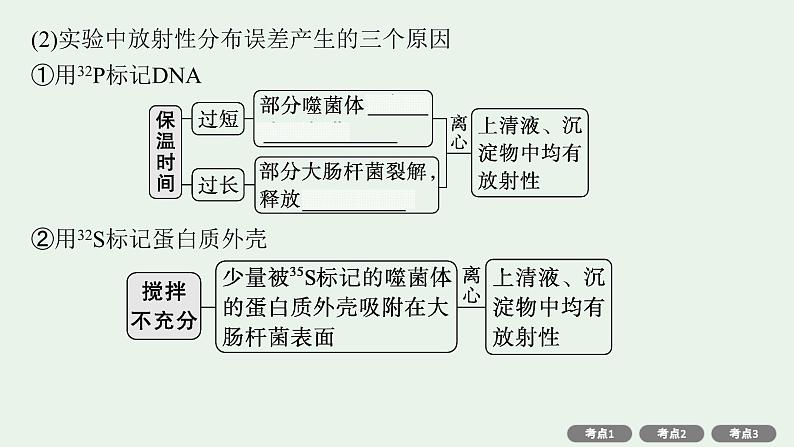 2025届生物高考 二轮复习 遗传的分子基础、变异与进化主干知识 自主落实 课件第5页