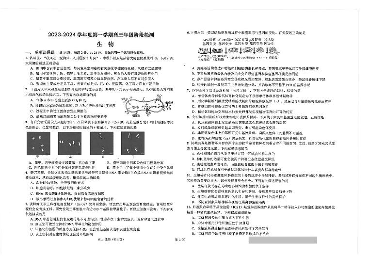 江苏省海安市2023_2024学年高三生物上学期11月月考试题pdf第1页