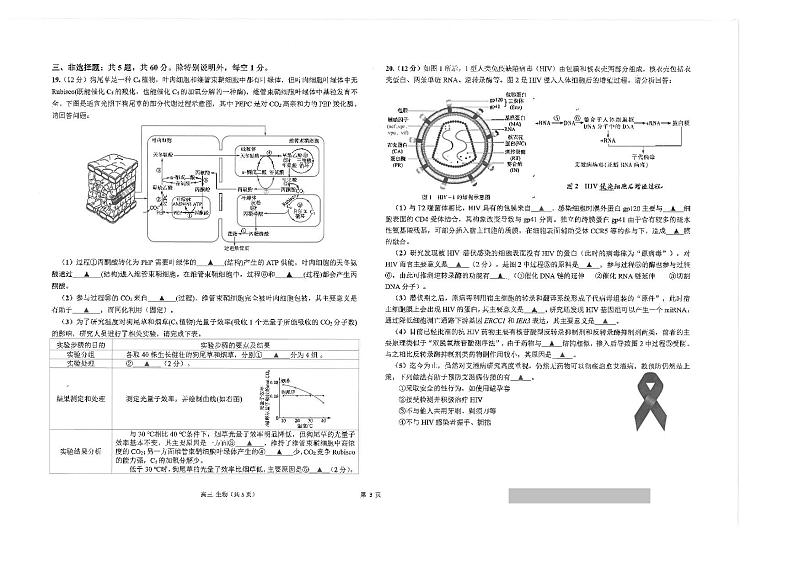 江苏省海安市2023_2024学年高三生物上学期11月月考试题pdf第3页
