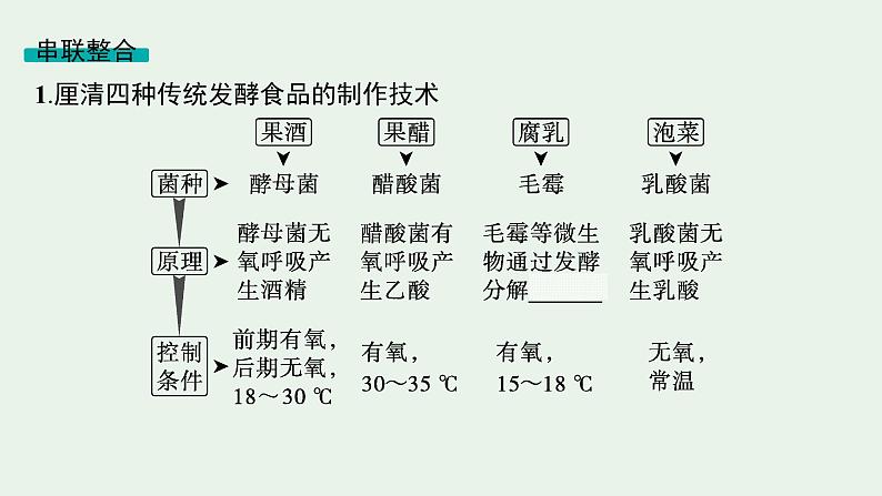 2025届生物高考 二轮复习 生物技术与工程 主干知识 自主落实 课件第4页