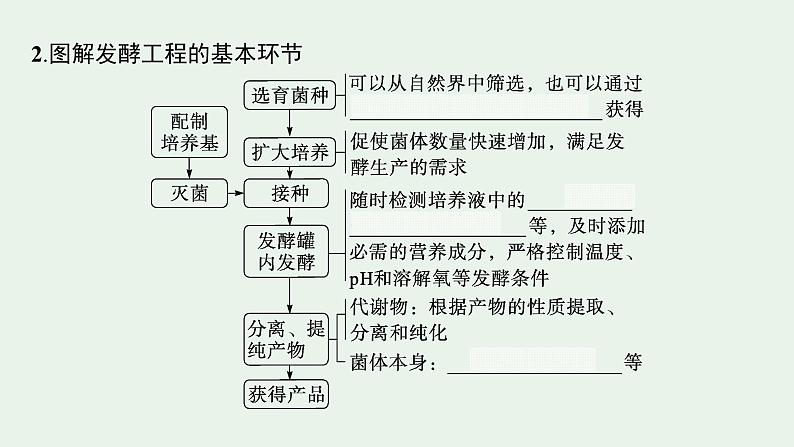 2025届生物高考 二轮复习 生物技术与工程 主干知识 自主落实 课件第5页