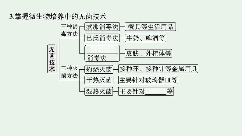 2025届生物高考 二轮复习 生物技术与工程 主干知识 自主落实 课件第6页
