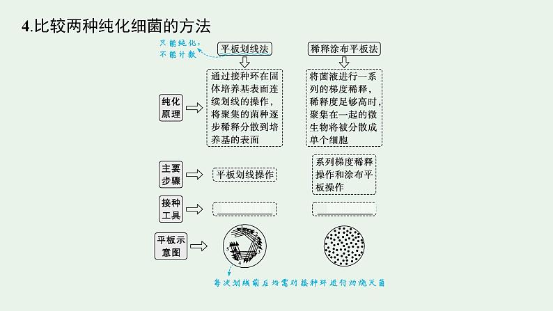2025届生物高考 二轮复习 生物技术与工程 主干知识 自主落实 课件第7页