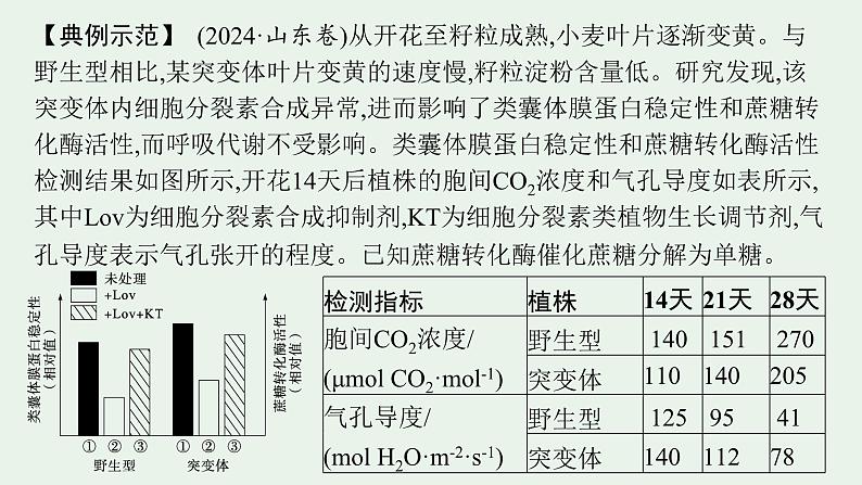2025届生物高考 二轮复习 长句表达(一)细胞代谢类大题突破 课件第2页