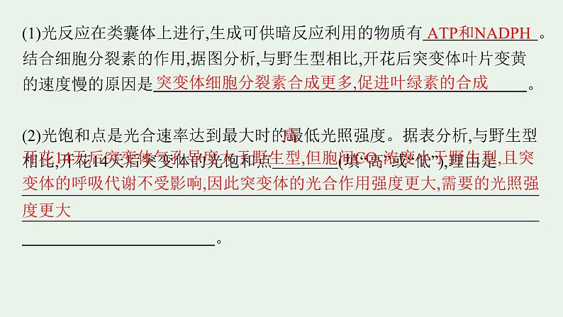 2025届生物高考 二轮复习 长句表达(一)细胞代谢类大题突破 课件第3页
