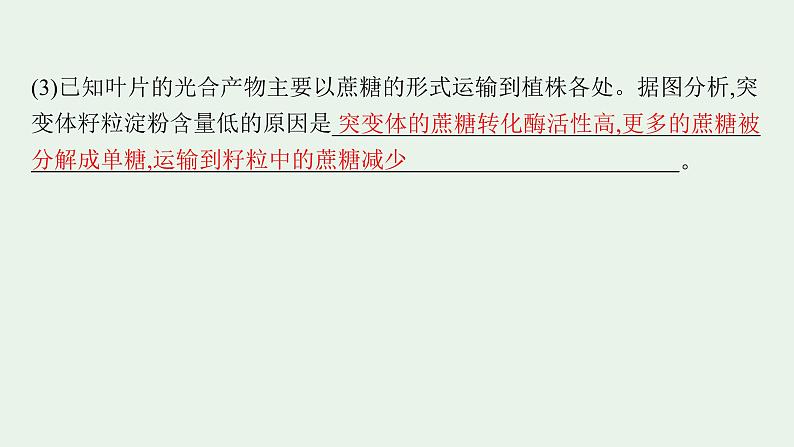 2025届生物高考 二轮复习 长句表达(一)细胞代谢类大题突破 课件第4页