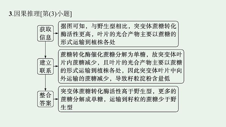 2025届生物高考 二轮复习 长句表达(一)细胞代谢类大题突破 课件第7页