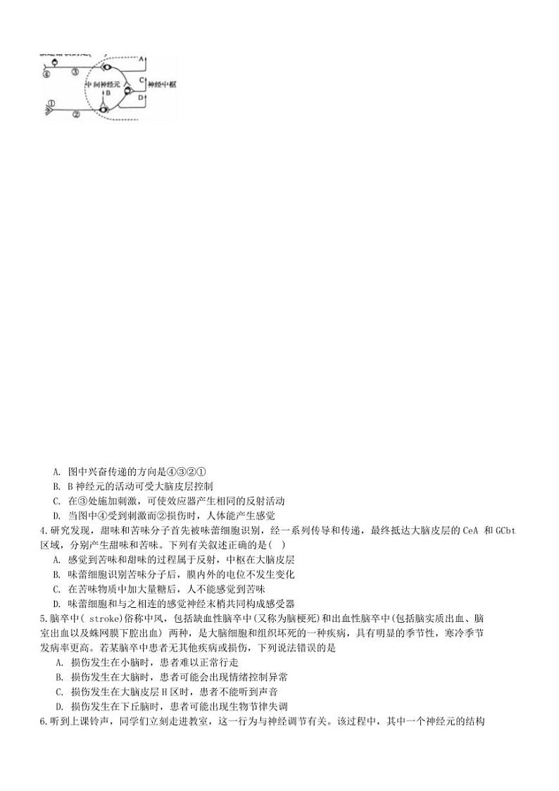 2024~2025学年海南省海口市美兰区海口实验中学高二(上)期中生物试卷(含答案)第2页