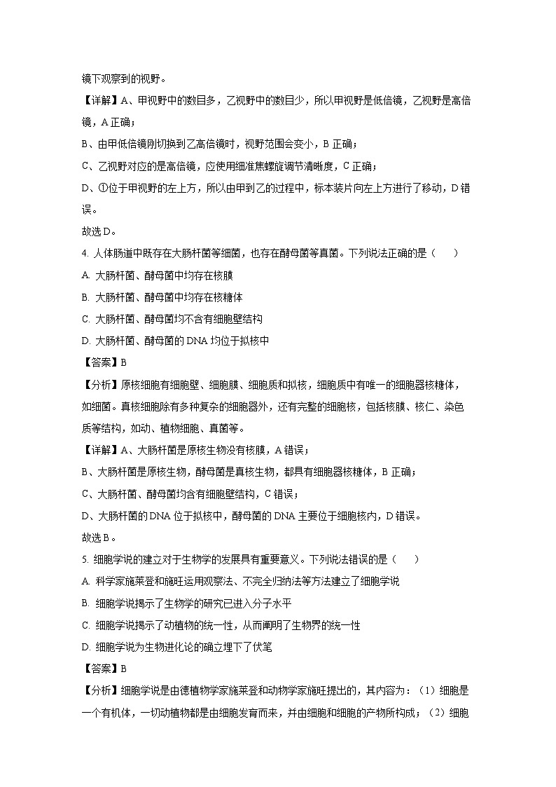 2024~2025学年重庆市万州区多校联考高一(上)期中考试生物试卷(解析版)第3页