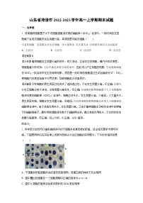 2022~2023學(xué)年山東省菏澤市高一(上)期末生物試卷(解析版)