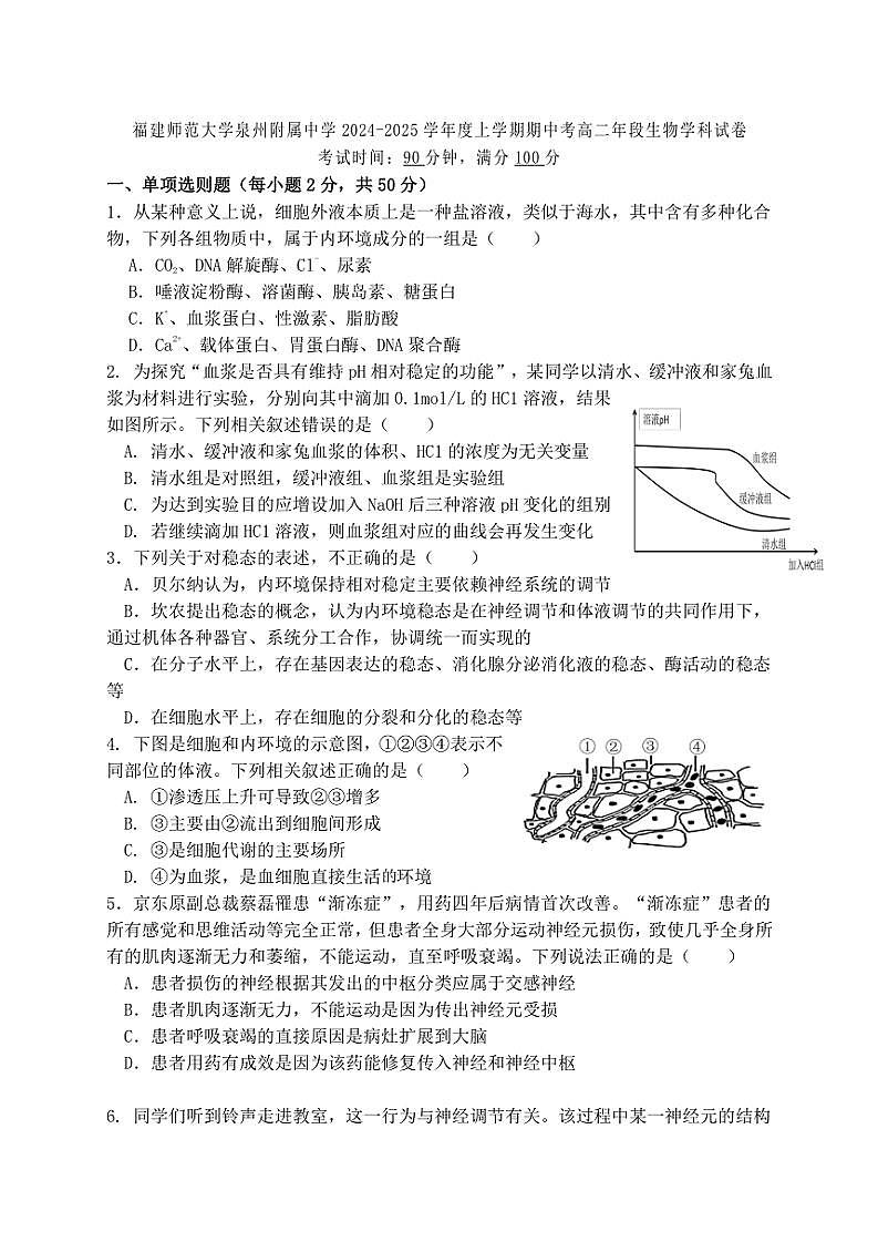 2024~2025学年福建省泉州市鲤城区福建师范大学泉州附属中学高二(上)期中生物试卷(无答案)第1页