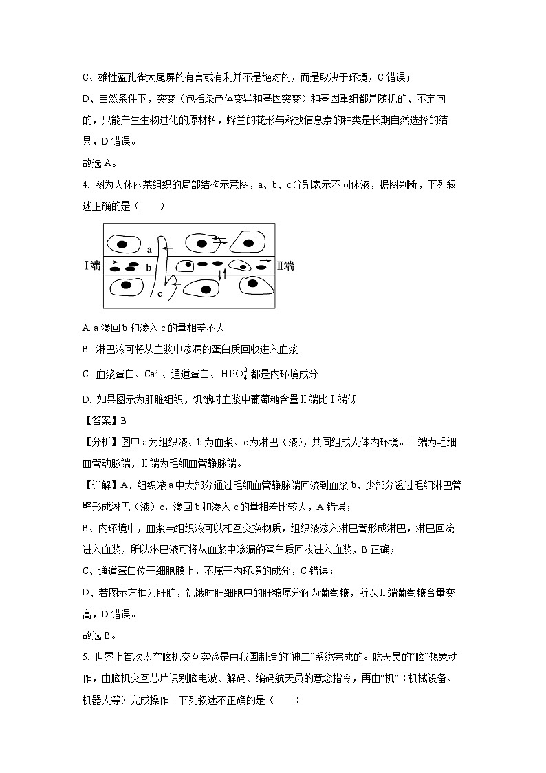 2024~2025学年福建省福宁古五校教学联合体高二(上)期中质量监测生物试卷(解析版)第3页