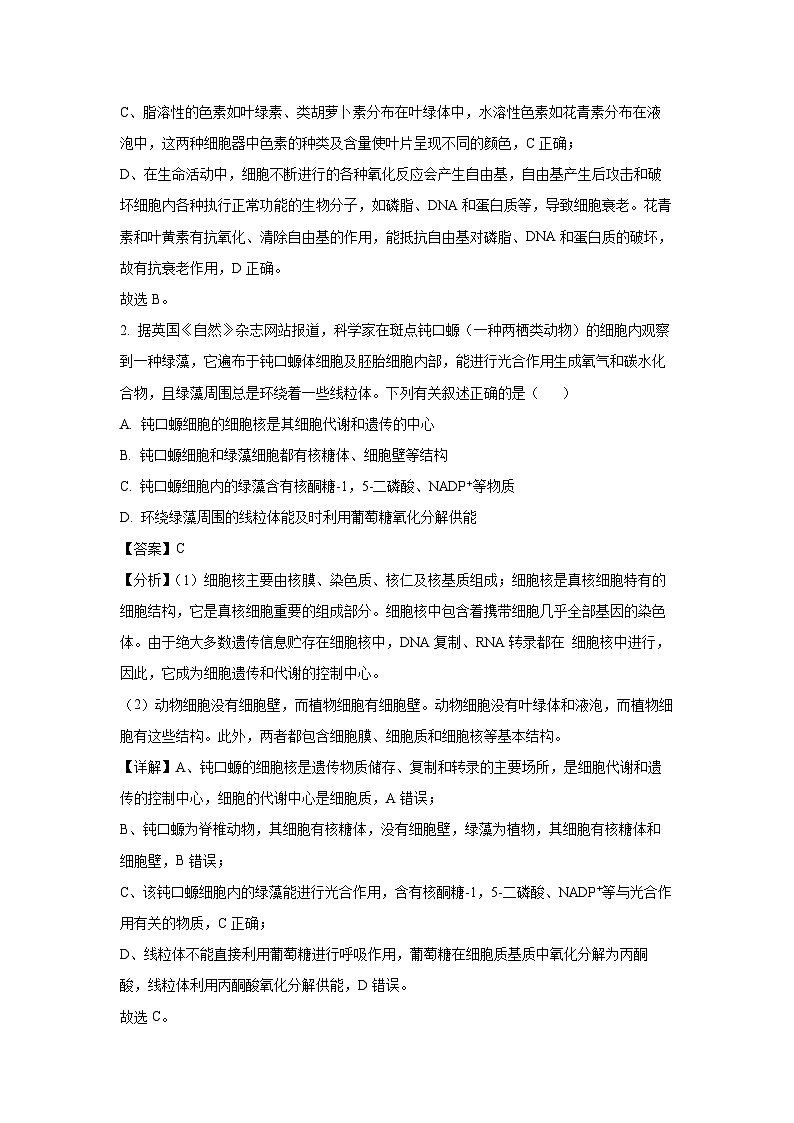 2024~2025学年湖北省九师联盟高三(上)质量检测生物试卷(解析版)第2页