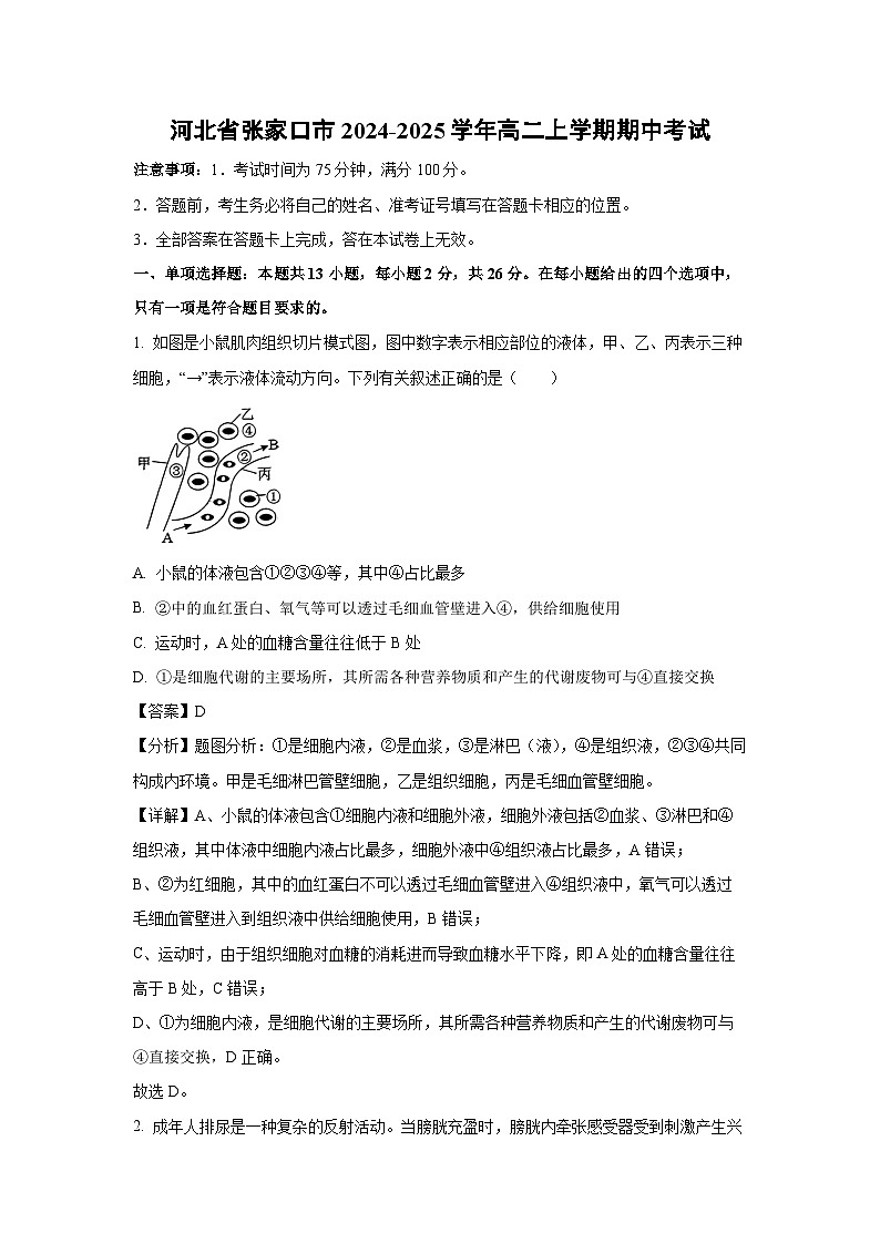 2024~2025学年河北省张家口市高二(上)期中考试生物试卷(解析版)第1页