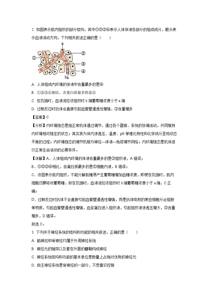 2024~2025学年河北省保定市定州市高二(上)11月期中生物试卷(解析版)第2页