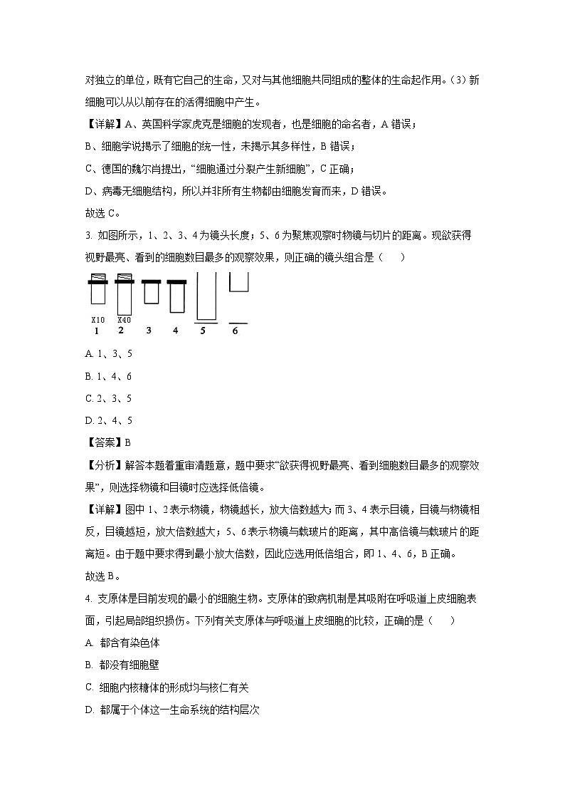 2024~2025学年江西省景德镇市乐平市高一(上)11月期中质量检测生物试卷(解析版)第2页