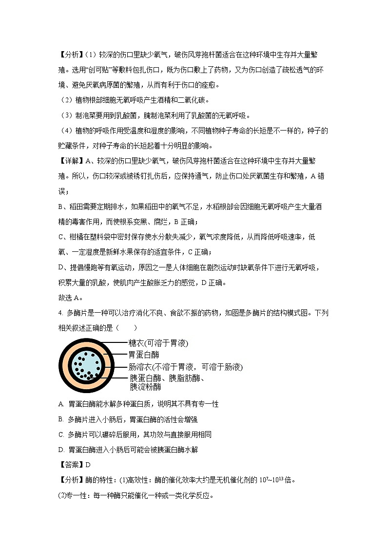 2023~2024学年江西省宜春市丰城市九中高一(上)期末生物试卷(解析版)第3页