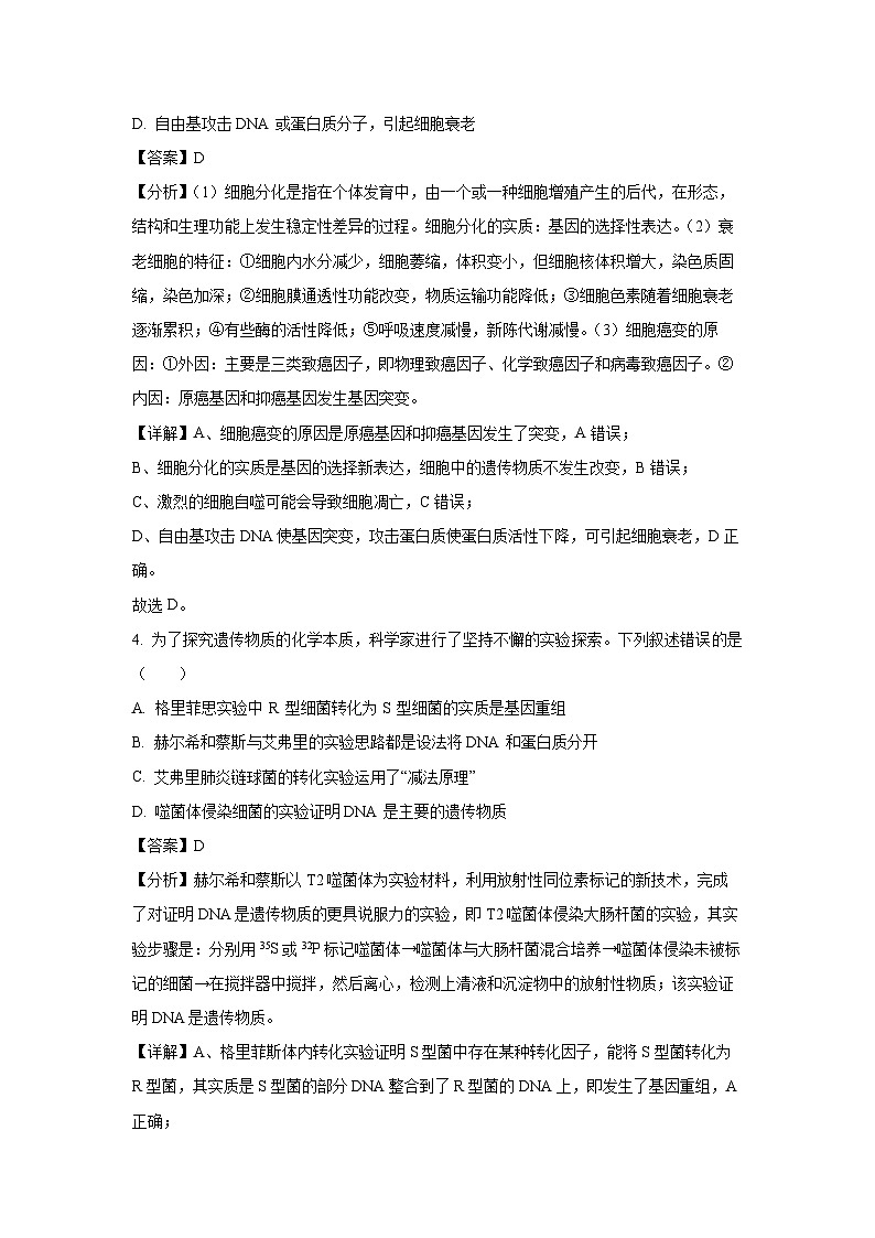 2024~2025学年江苏省徐州市高三(上)11月期中考试生物试卷(解析版)第3页