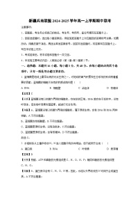 2024~2025學(xué)年新疆兵地聯(lián)盟高一(上)期中聯(lián)考生物試卷(解析版)