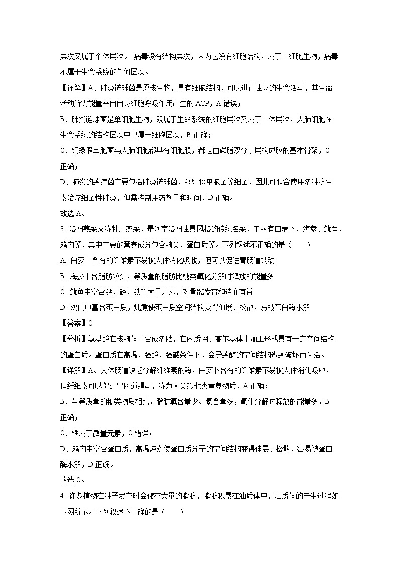 2024~2025学年天津市杨村一中高三(上)第一次月考生物试卷(解析版)第2页