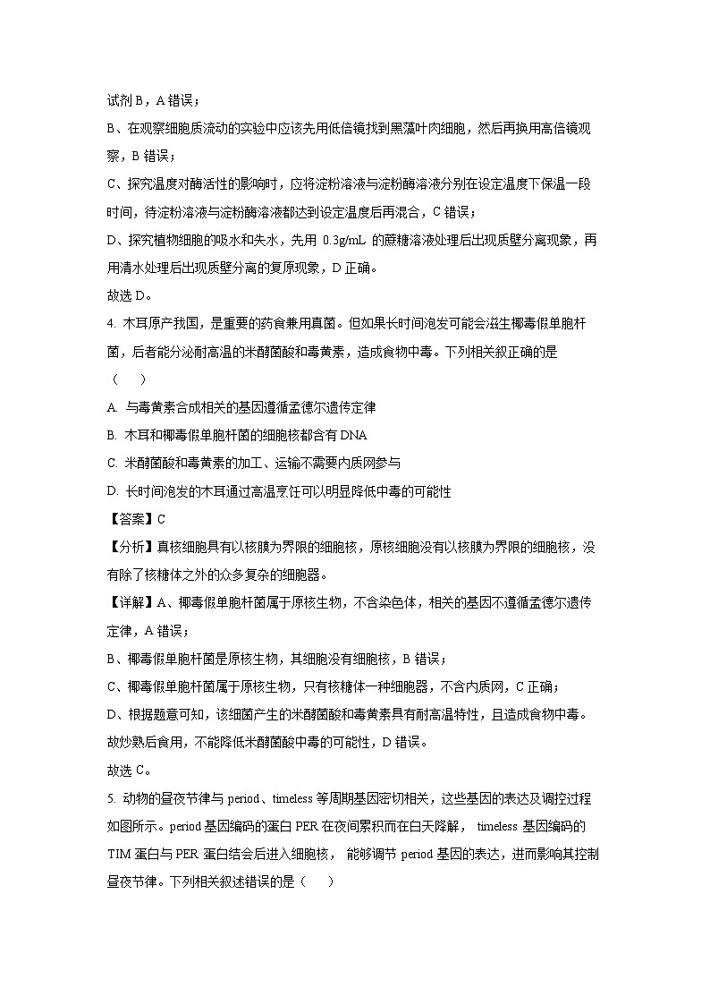 2024~2025学年天津市北辰区高三(上)11月期中考试生物试卷(解析版)第3页