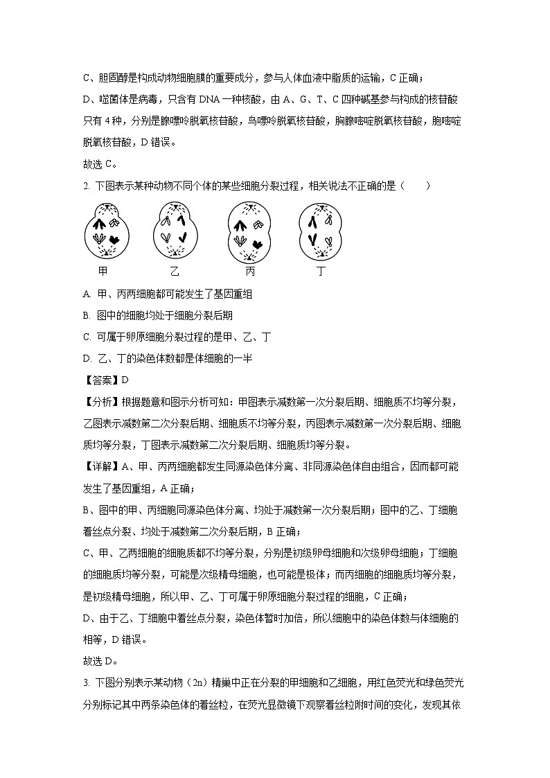 2025届广西壮族自治区崇左市扶绥县两校联考高考一模生物试卷(解析版)第2页
