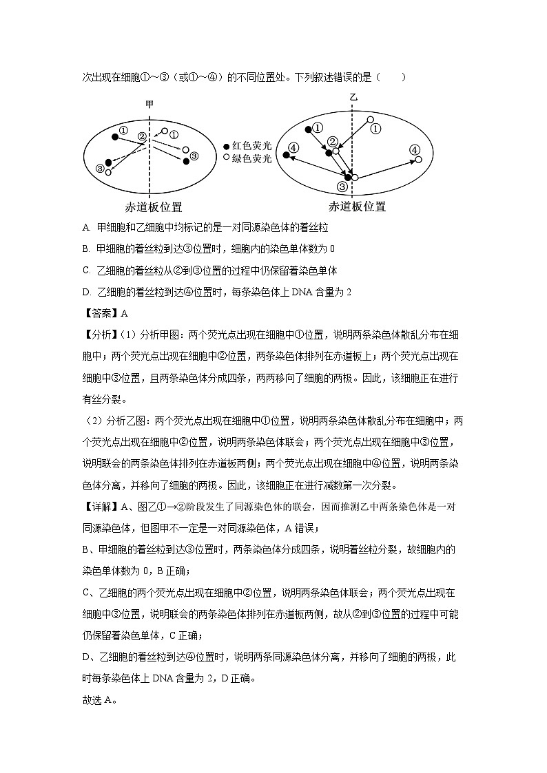 2025届广西壮族自治区崇左市扶绥县两校联考高考一模生物试卷(解析版)第3页
