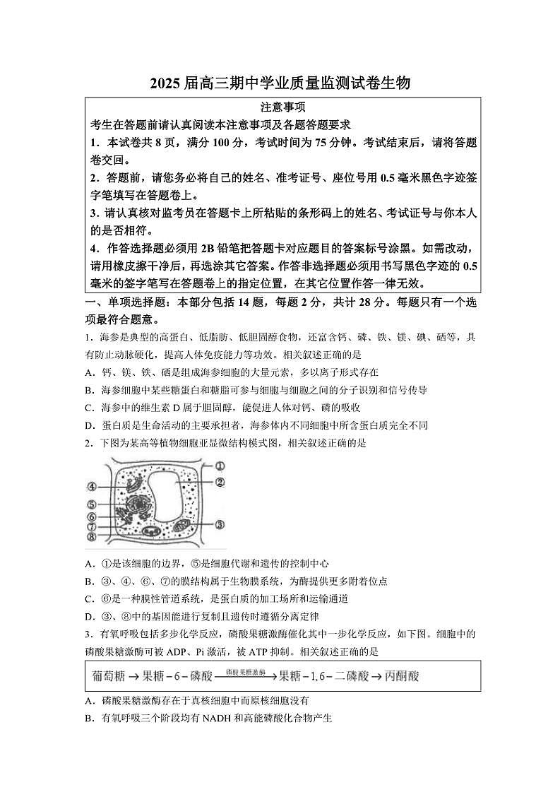 2024~2025学年江苏省南通市海安高级中学高三(上)期中生物试卷(含答案)第1页