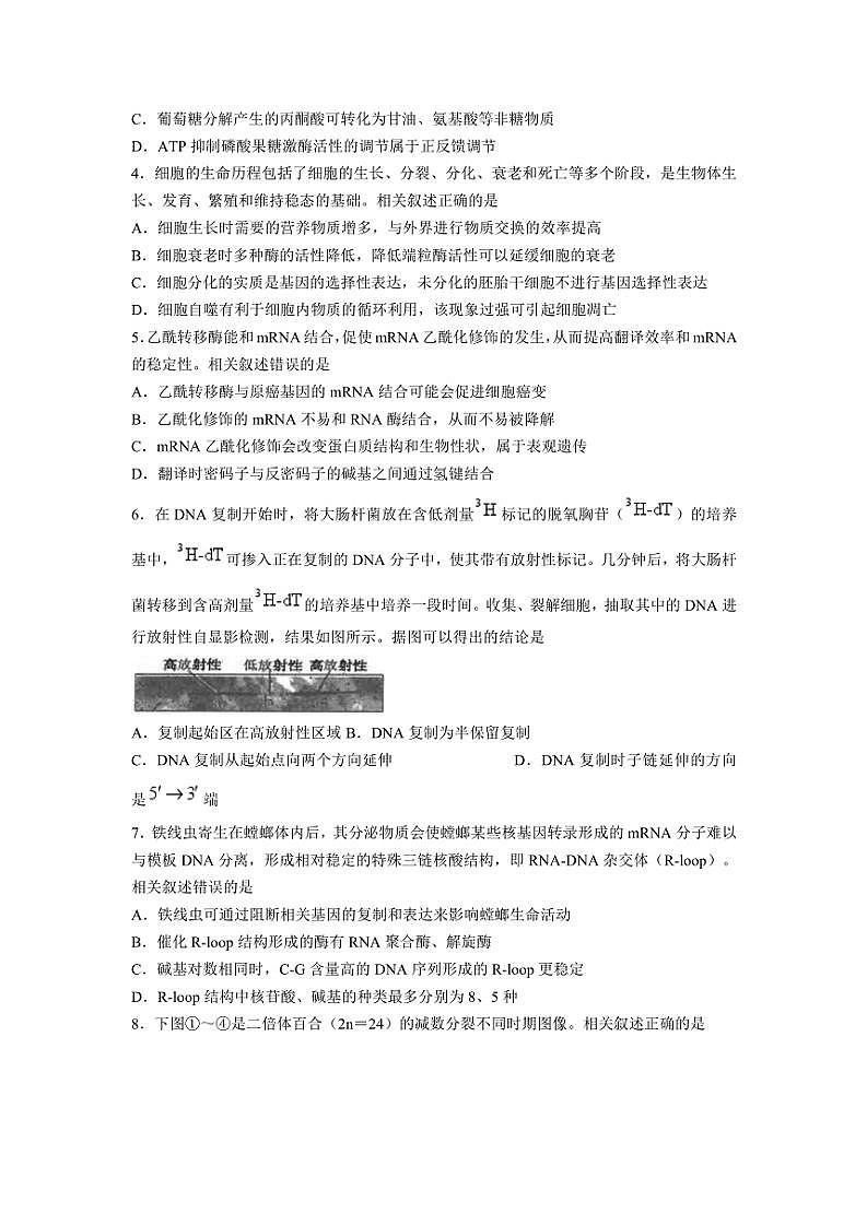 2024~2025学年江苏省南通市海安高级中学高三(上)期中生物试卷(含答案)第2页